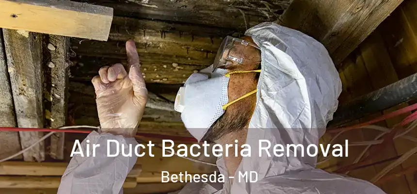  Air Duct Bacteria Removal Bethesda - MD