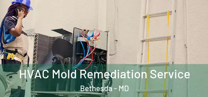 HVAC Mold Remediation Service Bethesda - MD