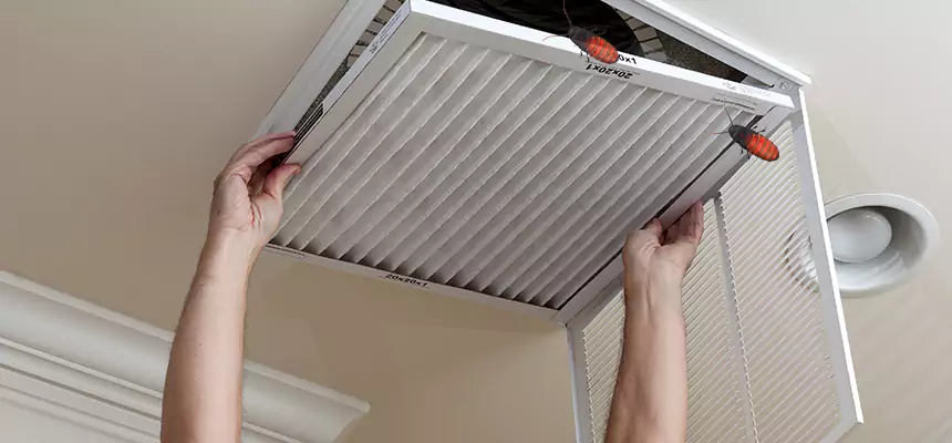 Preventive Cockroach-Proofing for Ducts in Bethesda