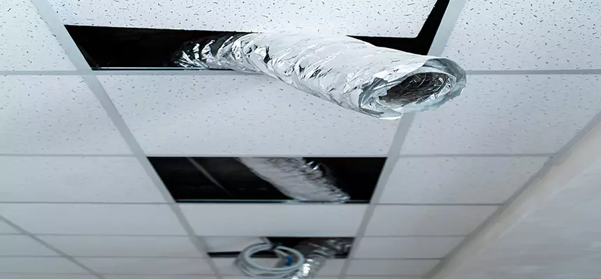 Affordable HVAC Sanitizing After Pest Removal in Bethesda