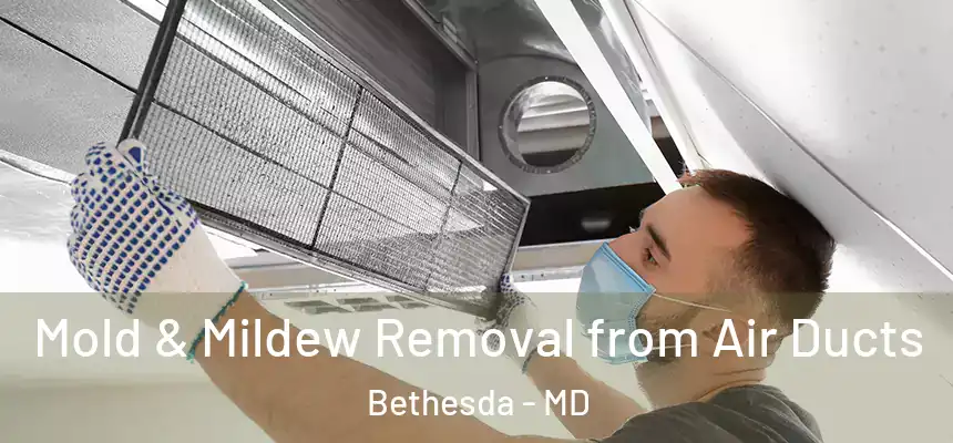  Mold & Mildew Removal from Air Ducts Bethesda - MD