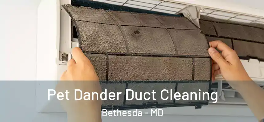  Pet Dander Duct Cleaning Bethesda - MD