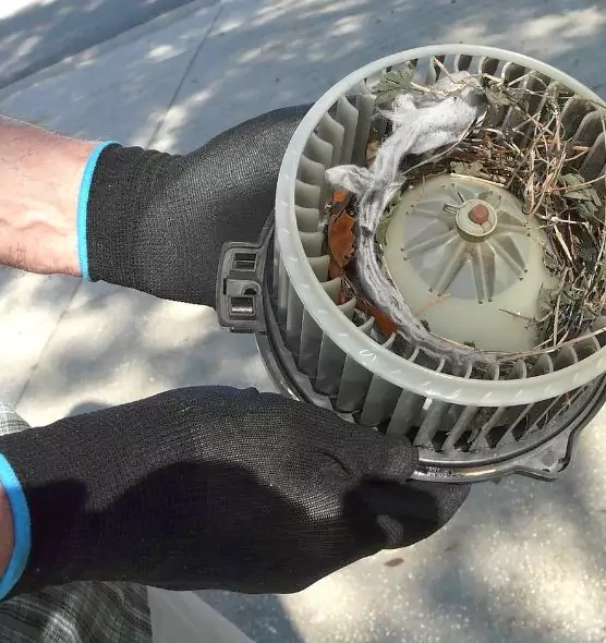 About Air Duct Rat Removal in Bethesda, MD