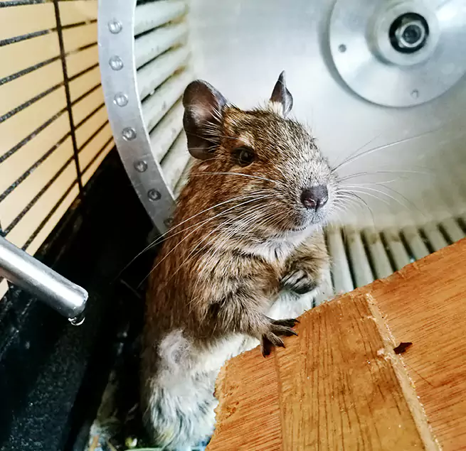 Why Homeowners & Businesses Trust Us Bethesda, MD?