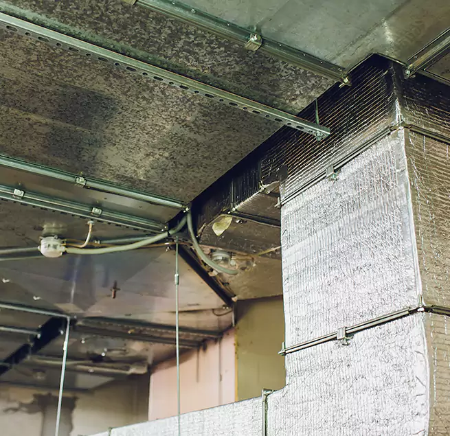 Why Homeowners & Businesses Trust Us in Bethesda, MD?